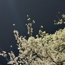 원투복싱클럽 단계점 이미지