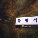옹녀