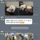 저스트도그 기업도시점 네이버블로그