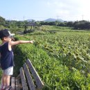 회천농장 이미지