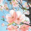 s23울트라 수채화 이미지