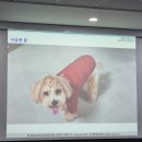 땡스기버 | 서울 극초기구역, 블루999님 임장강의 7주차 후기