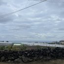 씨유민박 이미지