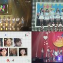 네이처데이즈 bnt뉴스