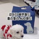 펫츠다이닝(pet's dining) 이미지