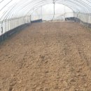 경운농장 이미지