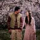 너는 내운명 이미지