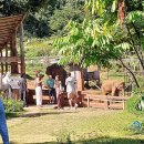 마야어린이집 | 태국 치앙마이 자유여행 패키지 일정 가볼만한곳 나이트바자