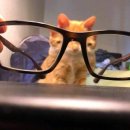 여명농장 | 25화 [신당] - 요아케