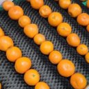 현주농장 이미지