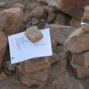 지혜의 나무 이미지