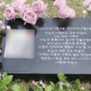 주식회사 반려무역