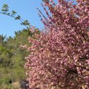 성산패총로-2 이미지