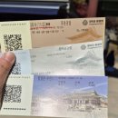 각신 | [11/19] 계급통 오는 서울 가을여행 창덕궁 후원 관람+창경궁