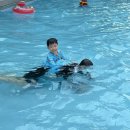 펜션소풍 | [26' Summer] 아산 물놀이, 아산 아이랑 소풍펜션 당일 캠프닉 리뉴얼 후기