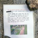 위오린
