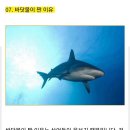 은미마켓 이미지