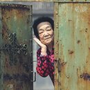 가시나 이미지