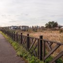 선옥공원 이미지