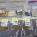 보라농장 이미지