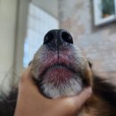 두카메디컬센터 이미지