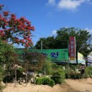청일조경