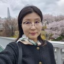 주차편한아산메디칼약국 | 아들 휴가, 병원 그리고 꽃구경