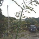 산들애농원 이미지
