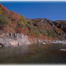 금당주유소 이미지