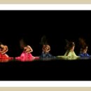 밸리댄스페스티벌 이미지