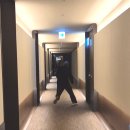 예솔누리 | [임신을 하다니#13] 26주차: 행복한 태교여행(부산 아난티 앳 코브/이재모피자/해동용궁사/수변최고돼지...