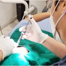 내원백운 이미지