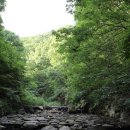 금화계곡주차장 이미지