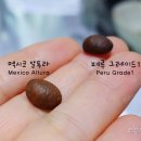 알투라