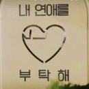 펫미픽미 이미지