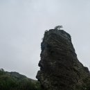 제주육백 이미지