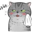 가온약품 이미지