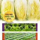 모단농장 이미지