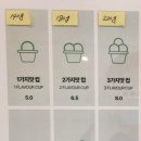 아이스걸크림보이용리단길
