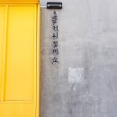 초당관광지 | 속초 가면 무조건 먹어야 한다는 초당 옥수수 커피, 솔직 후기