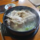 복영양탕 이미지