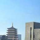 브라운도트 경주보문점 이미지