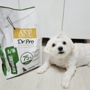 해피다이어트 | ANF 닥터프로 독 처방식 사료 웨이트매니지먼트 체중조절사료 추천