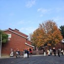 한남동 작은도서관 | 용산공원 미군부대 장교 숙소, 가을 바이브 주말 단풍놀이 (ft.한남동 맛집)