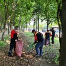 중앙대로 이미지