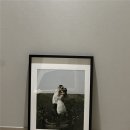 w-32 | W. 32 - 제주스냅 - 잔재주 스냅 수정본 후기