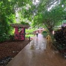 굿플러스레저(GPL) | 괌리조트PIC 올인클루시브 객실 액티비티 예약