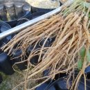 김태준농장 이미지