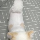 마이뉴트리 이미지