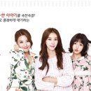 여우들의수다